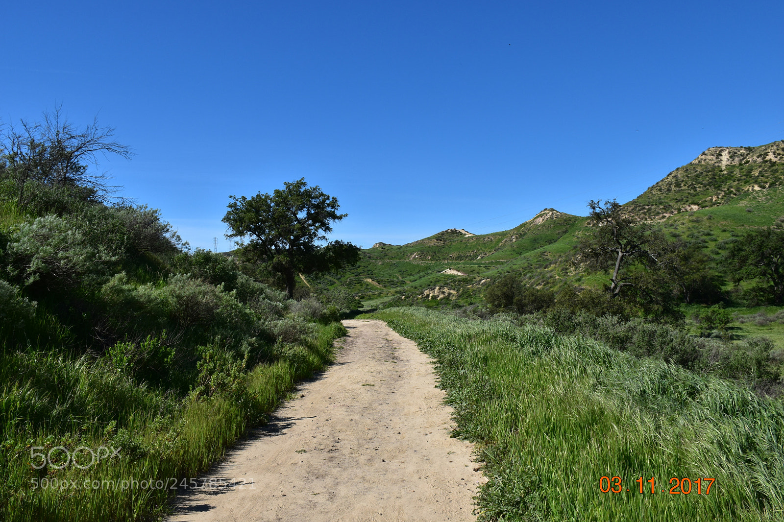Nikon D5500 sample photo. Pks photography