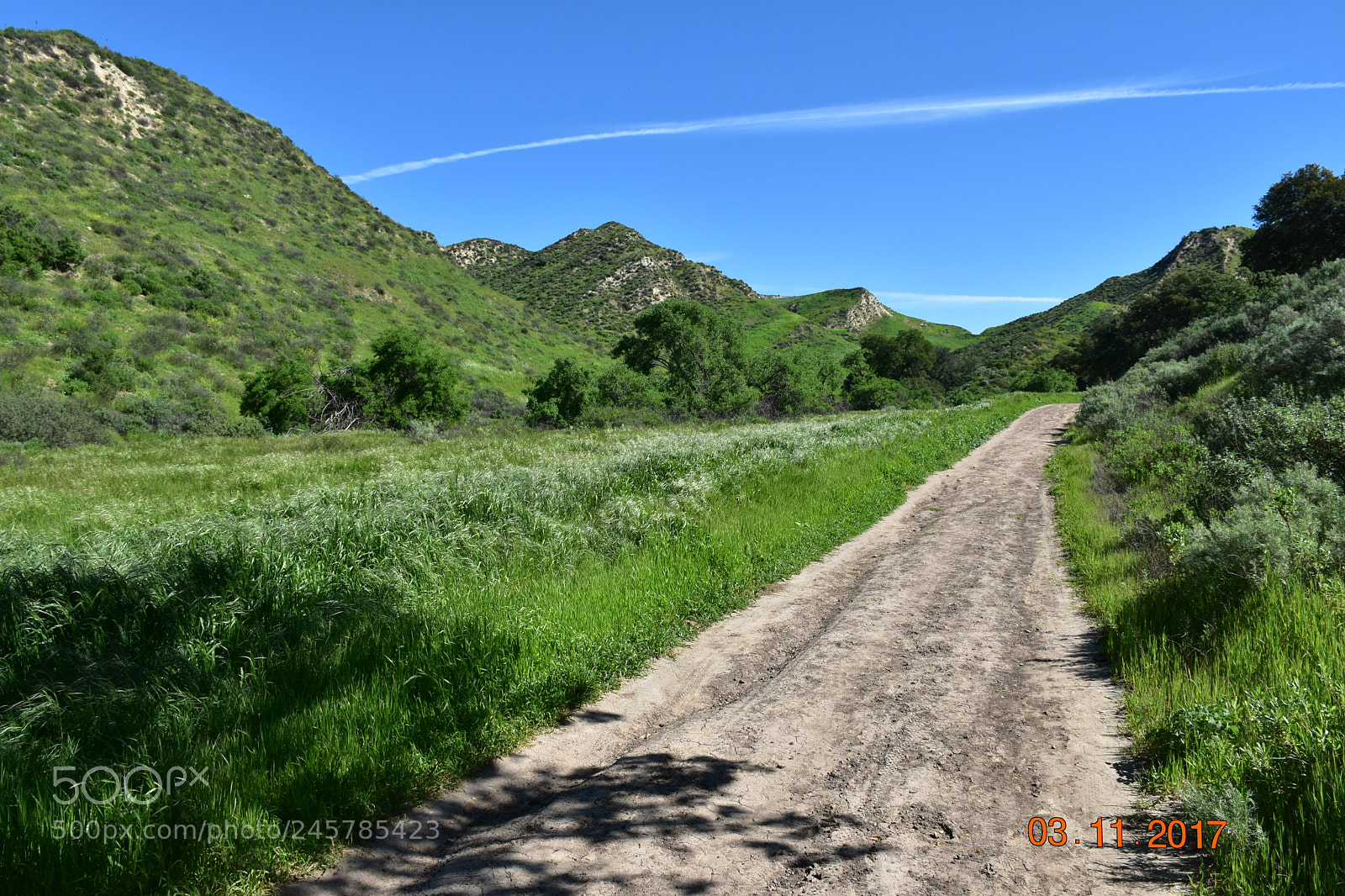 Nikon D5500 sample photo. Pks photography