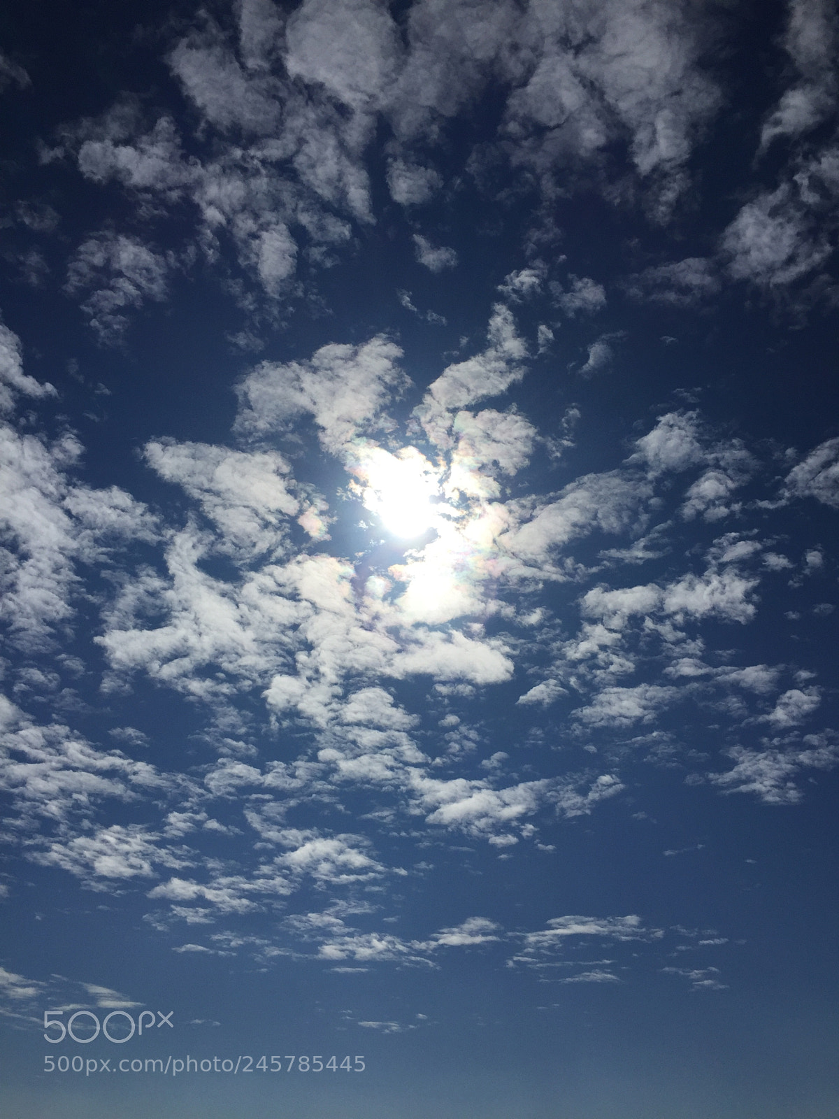 Apple iPhone 6 sample photo. Untitled photography