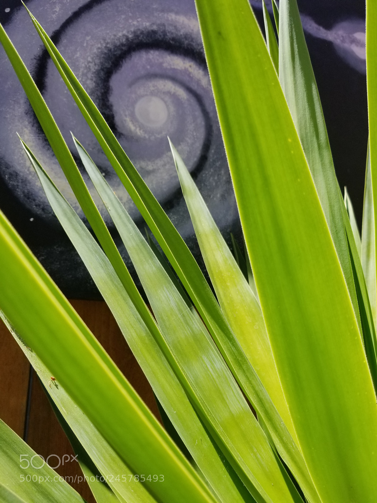 Samsung Galaxy S8 sample photo. Untitled photography