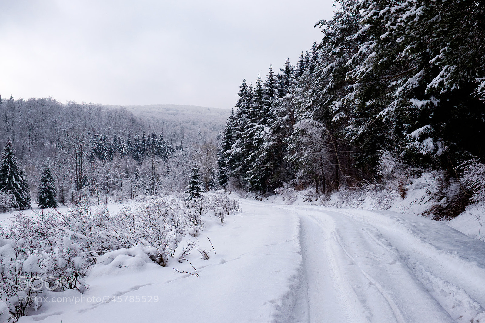 Fujifilm X-E2 sample photo. Winter 2 photography
