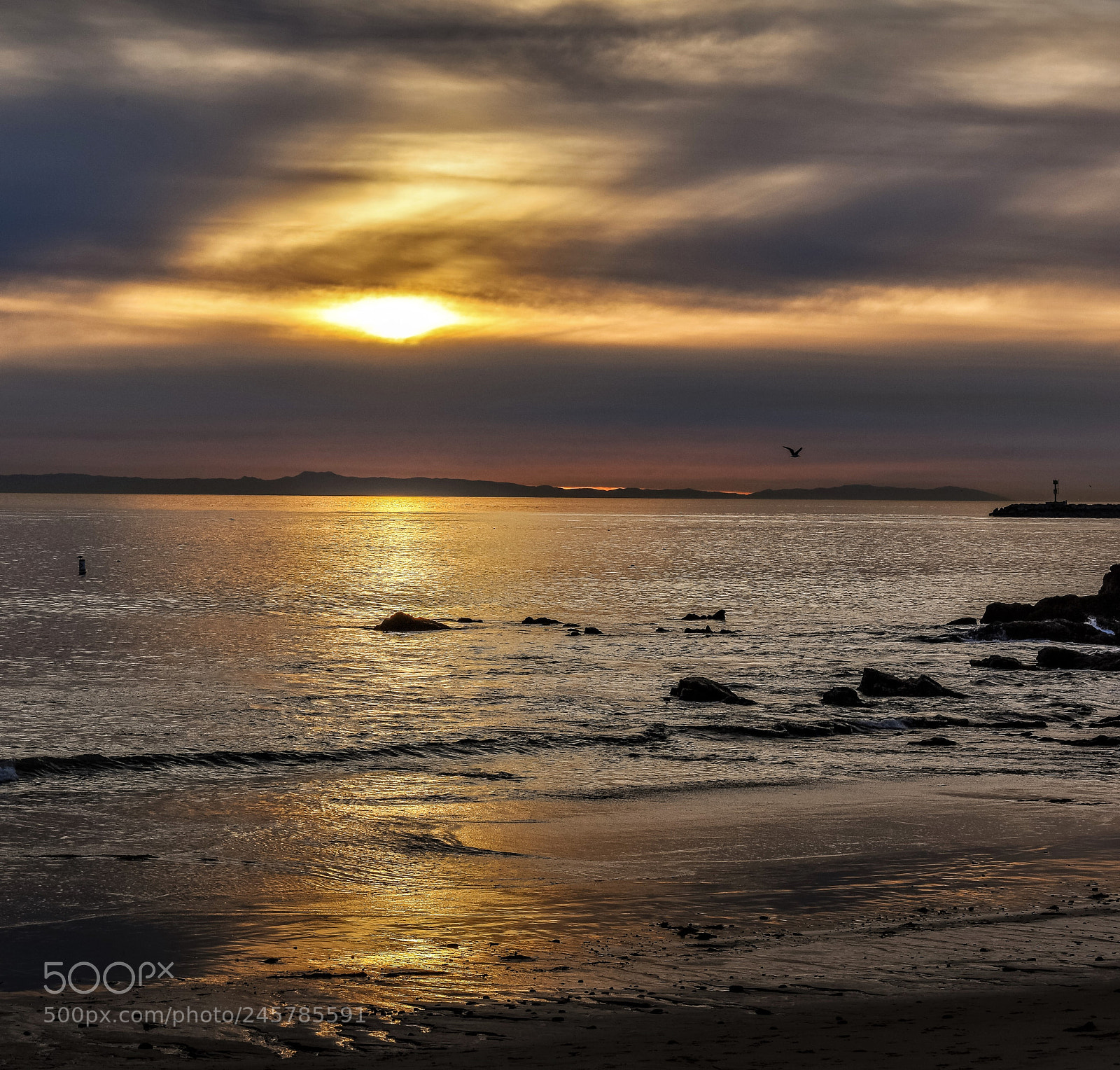 Nikon D810 sample photo. Sunset messenger! photography