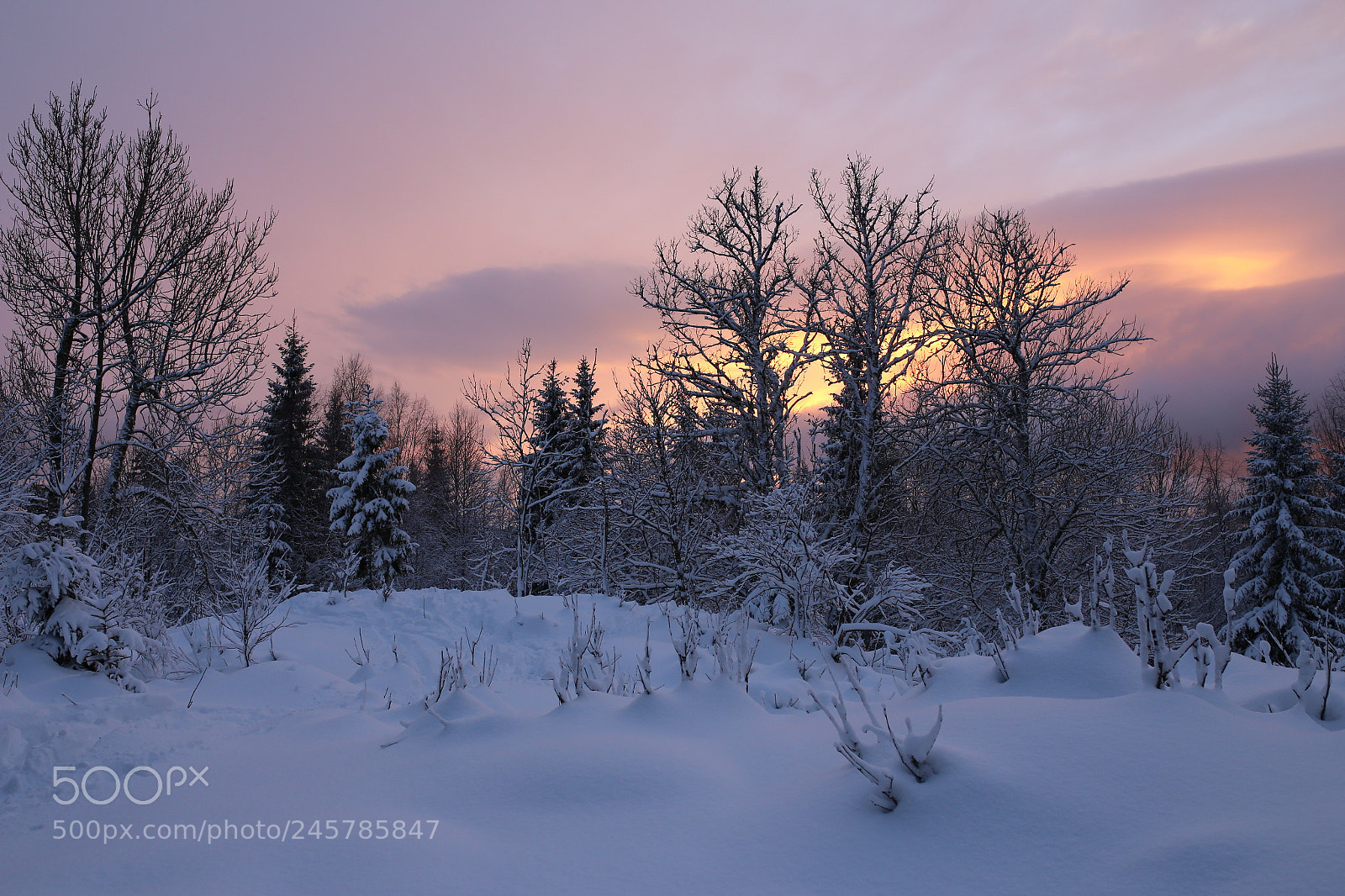 Sigma 35mm F1.4 DG HSM Art sample photo. Winter classic photography
