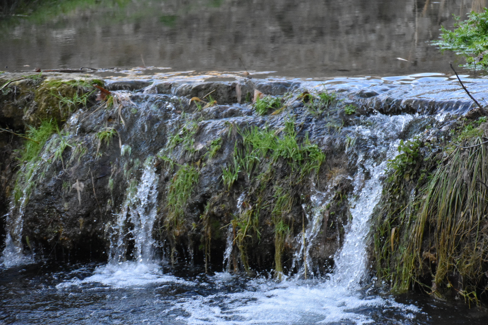 Nikon D5600 sample photo