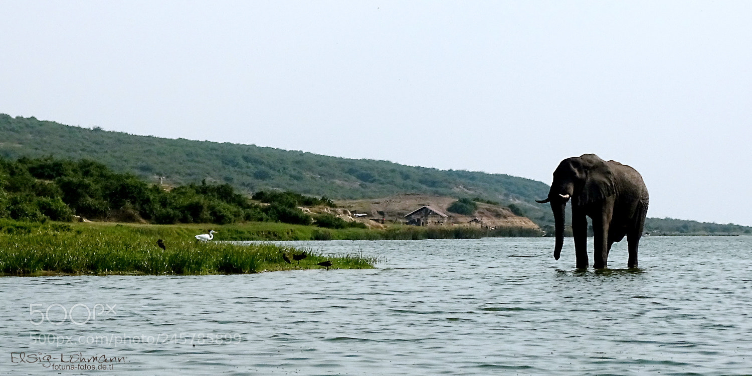 Sony Cyber-shot DSC-HX400V sample photo. Walking on water photography