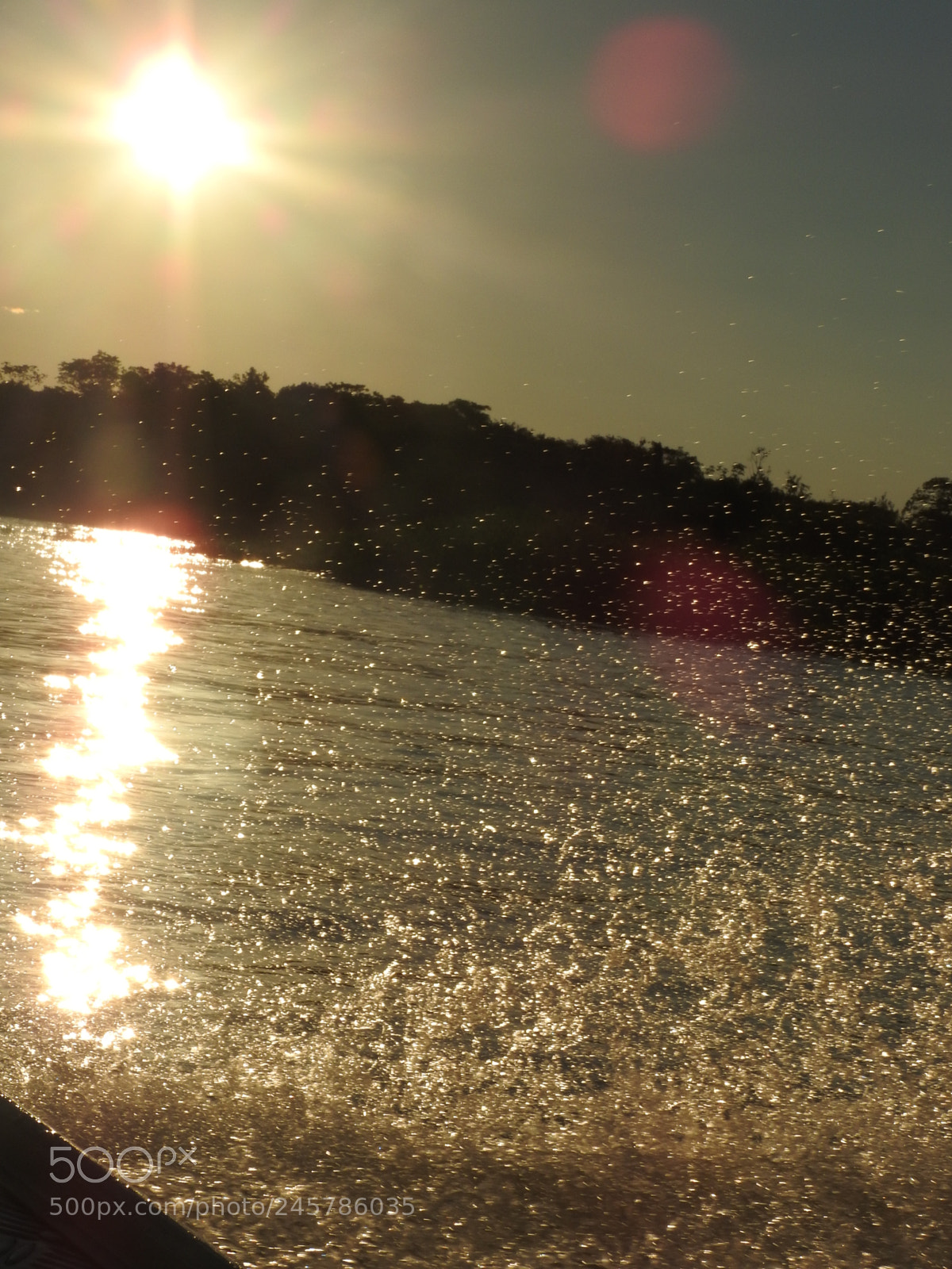 Nikon Coolpix P610 sample photo. Pantanal photography
