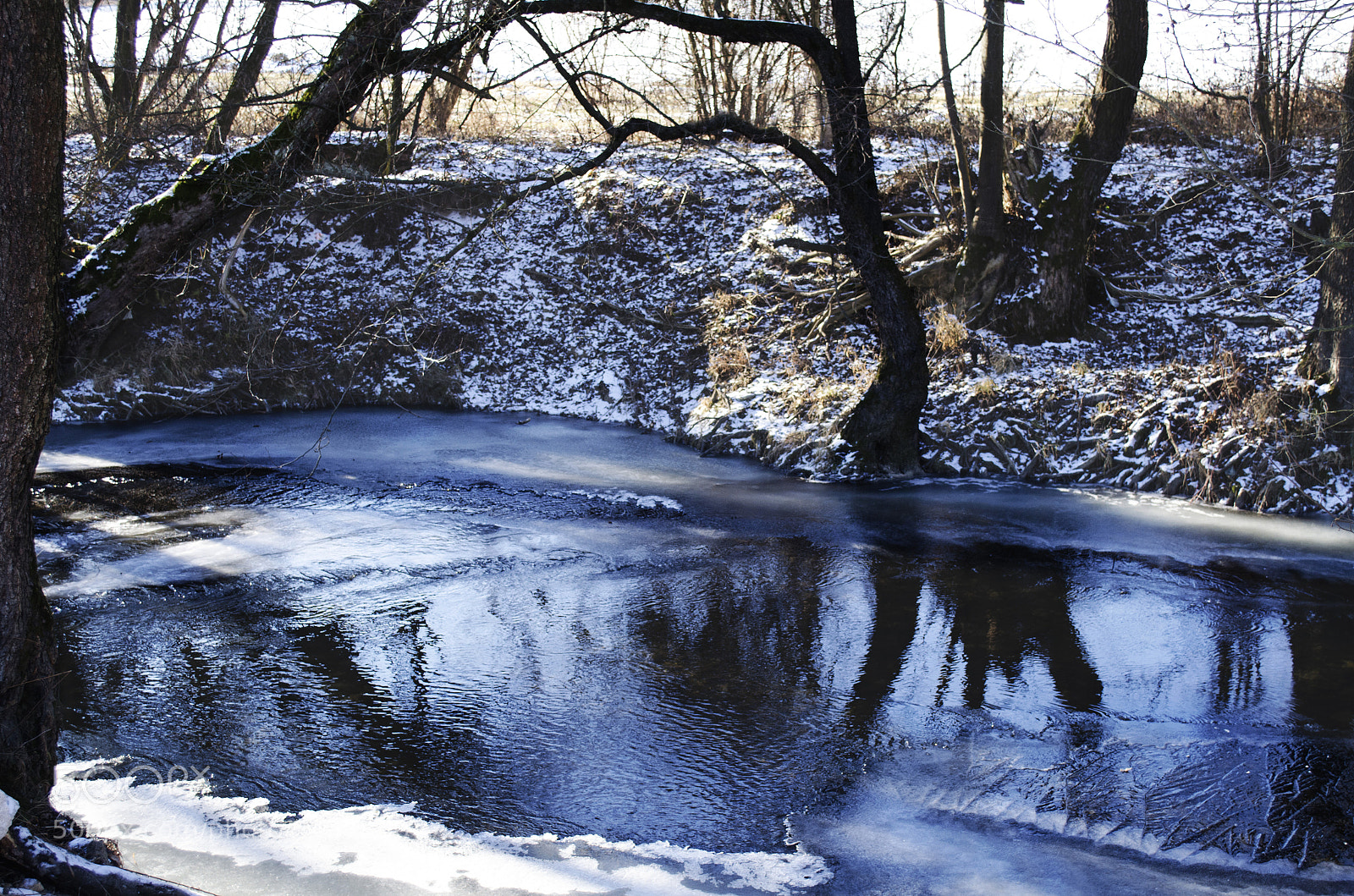 Nikon D5100 sample photo. Frozenland photography