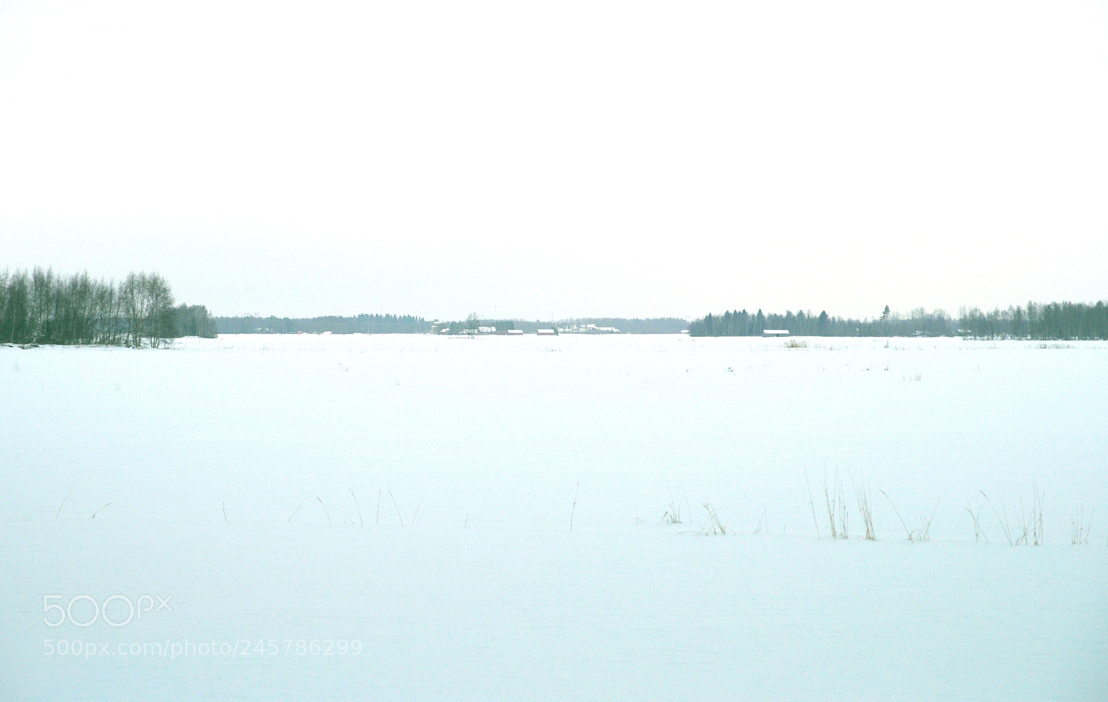 Pentax K-1 sample photo. The expanse, winter scene photography