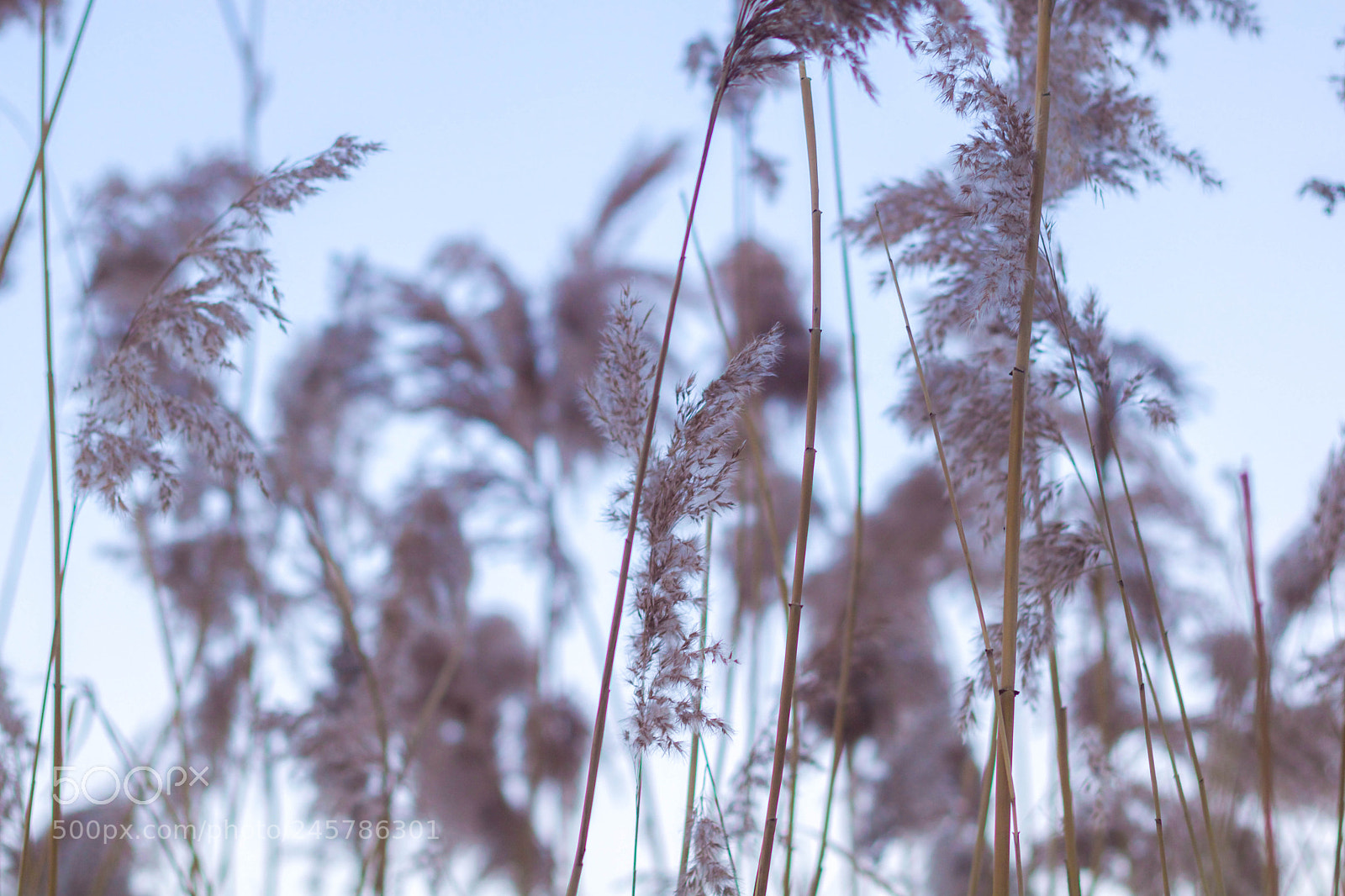 Canon EOS 750D (EOS Rebel T6i / EOS Kiss X8i) sample photo. Sunset ii photography