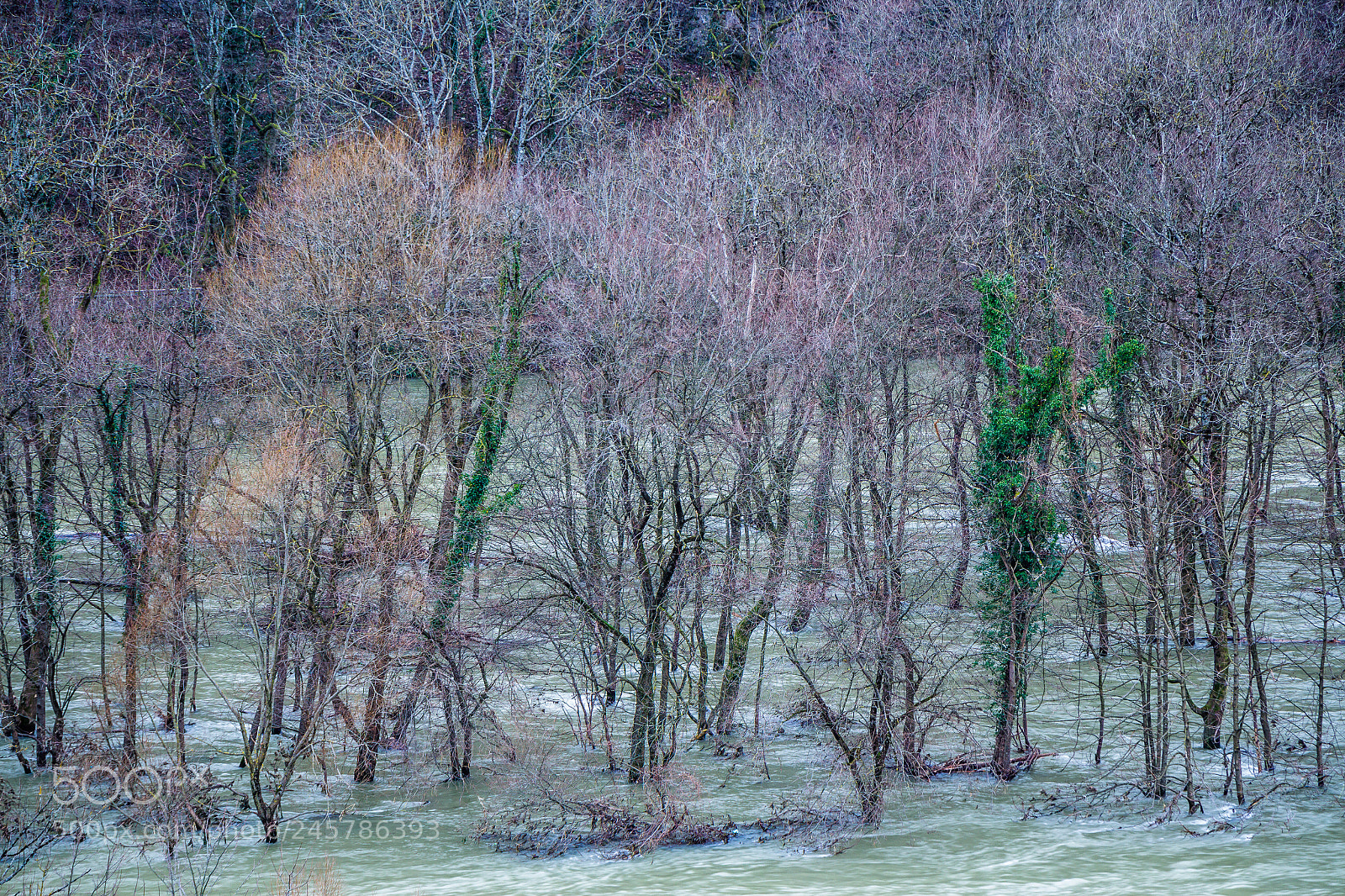 Canon EOS 650D (EOS Rebel T4i / EOS Kiss X6i) sample photo. Les pieds dans l'eau photography