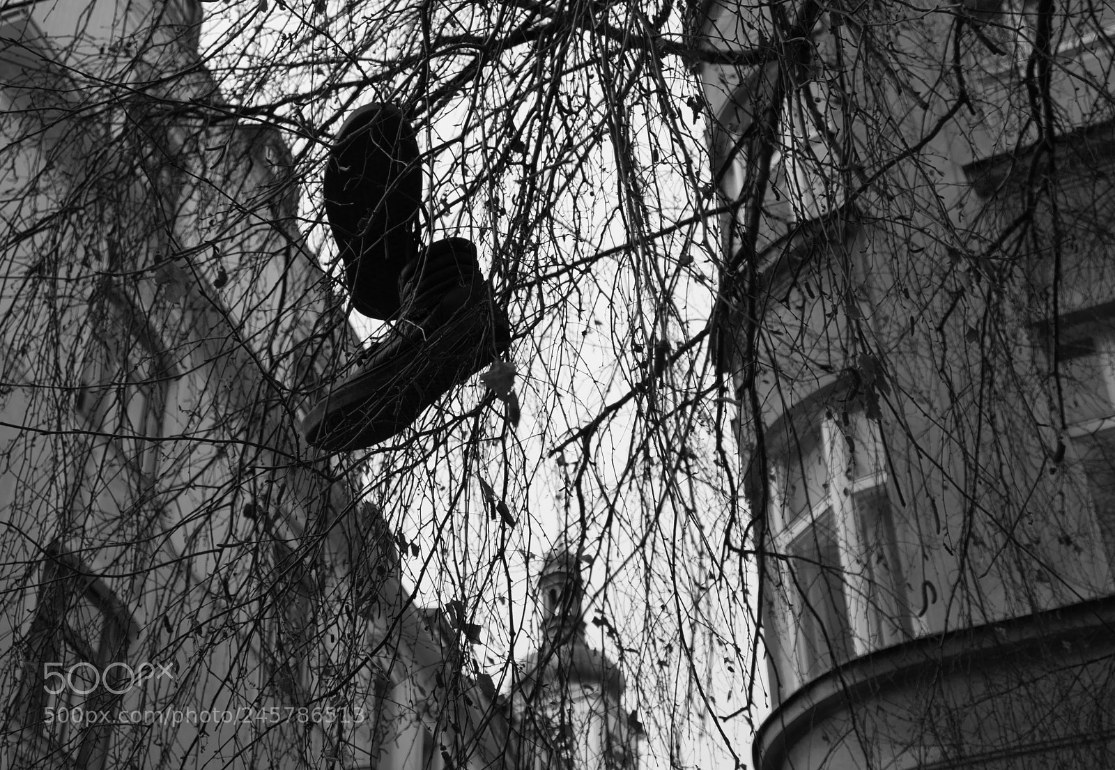 Canon EOS 200D (EOS Rebel SL2 / EOS Kiss X9) sample photo. A hanging shoe photography