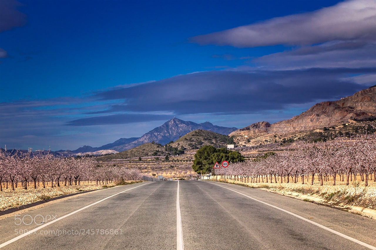 Canon EOS 60D sample photo. Lonely road ..... photography