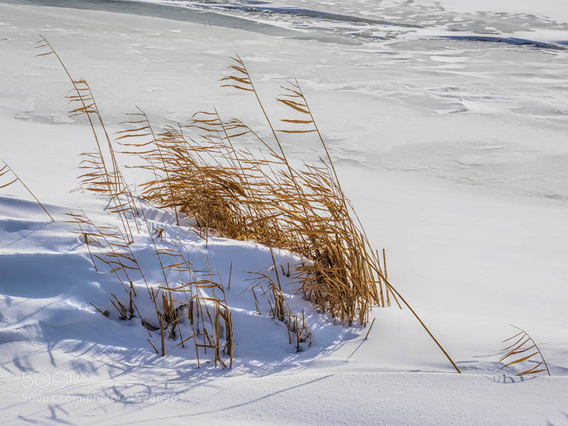 Olympus OM-D E-M1 sample photo. Winter beach photography