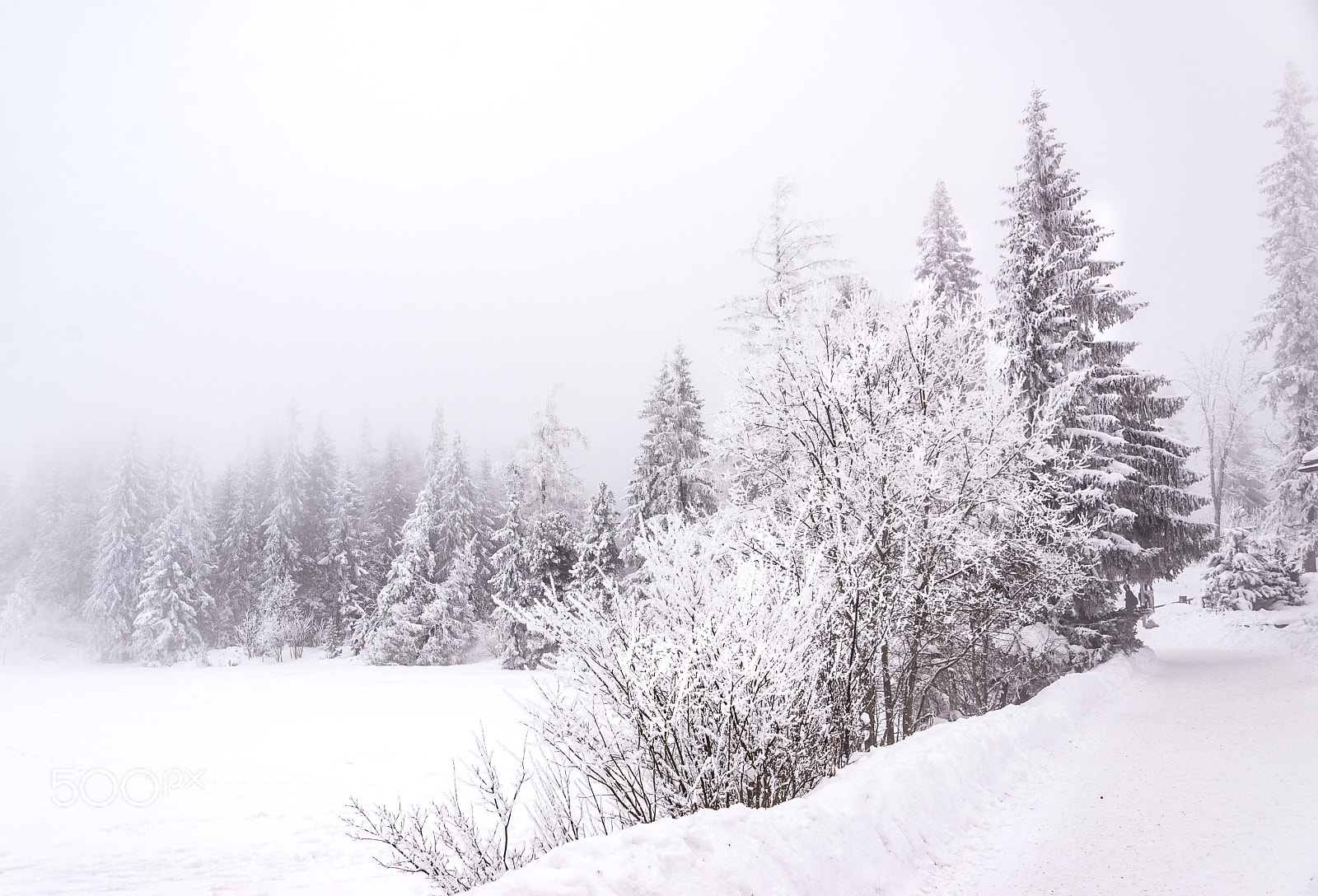 Nikon D610 sample photo. High tatras / strbske pleso photography