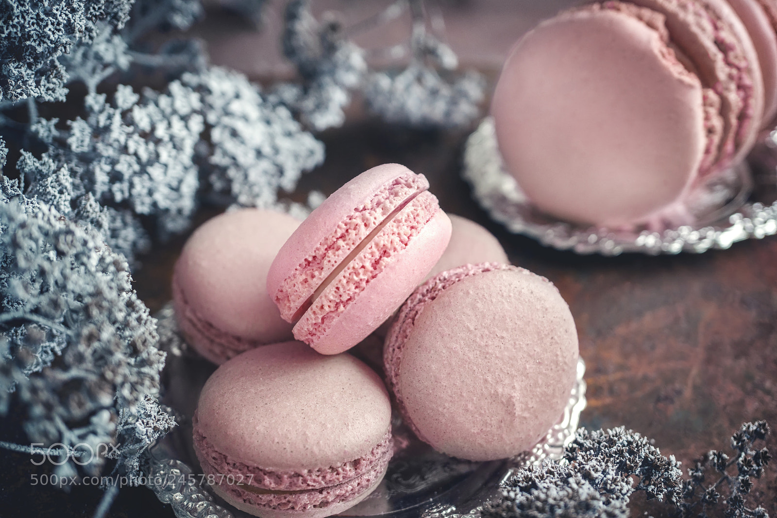 Sony Alpha NEX-6 sample photo. Freshly baked macaroons on photography