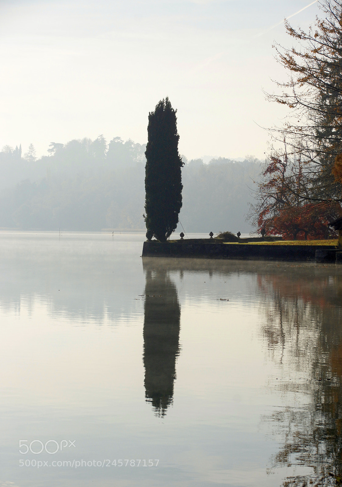 Sony SLT-A77 sample photo. The guardian photography