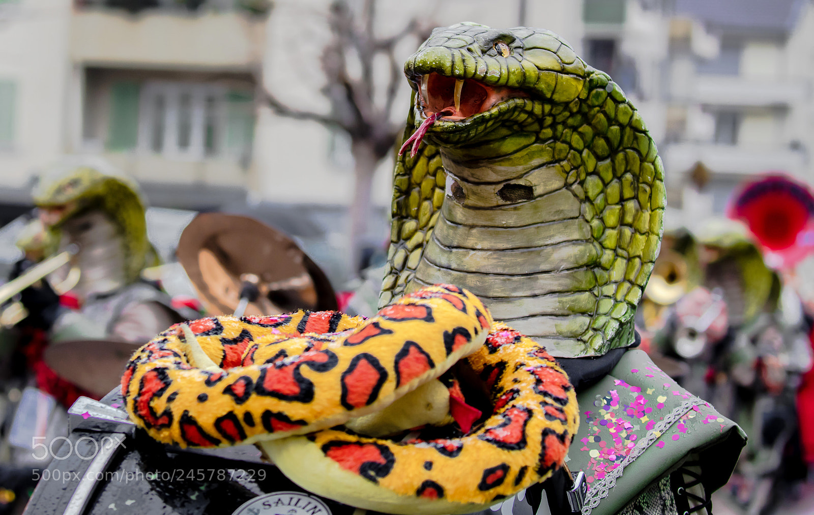 Canon EOS 5DS sample photo. Il cobra photography