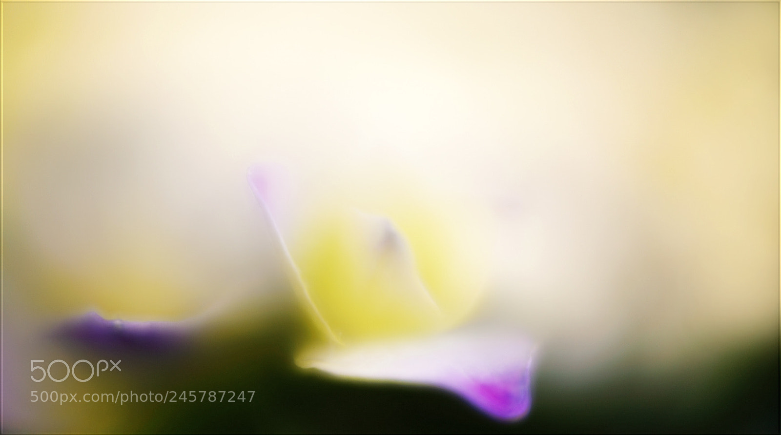 Sony a7R II sample photo. Lass deine seele in photography