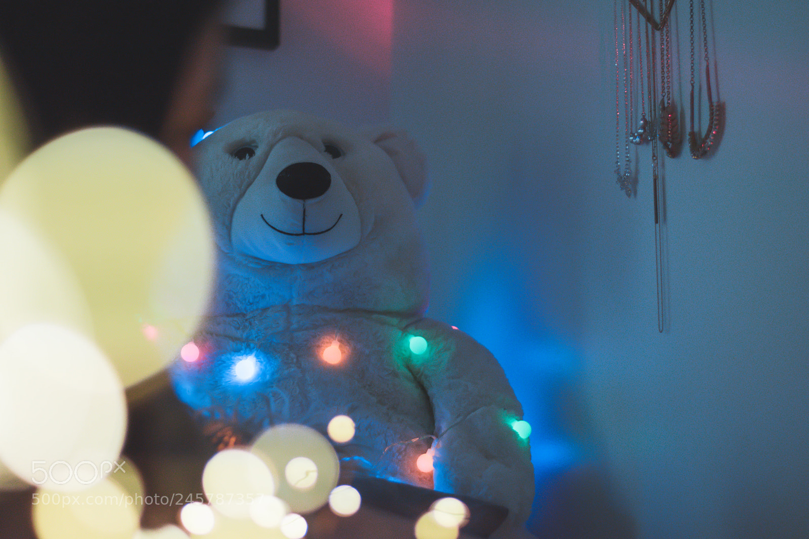Nikon D5600 sample photo. Happiness is your nature photography