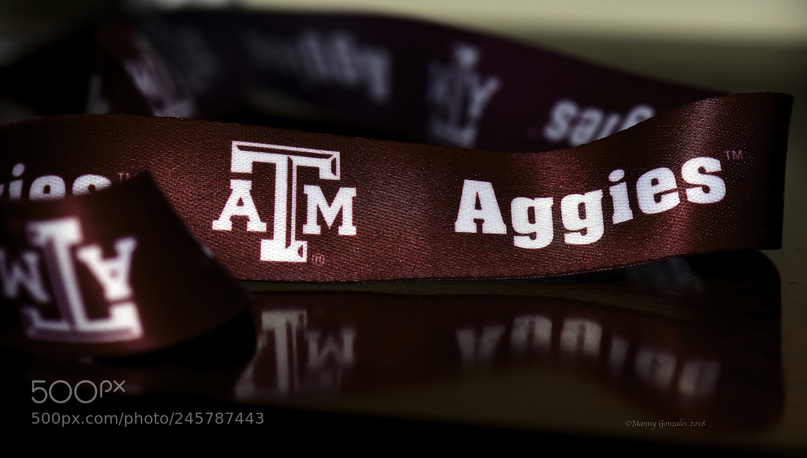 Nikon D850 sample photo. Go aggies photography
