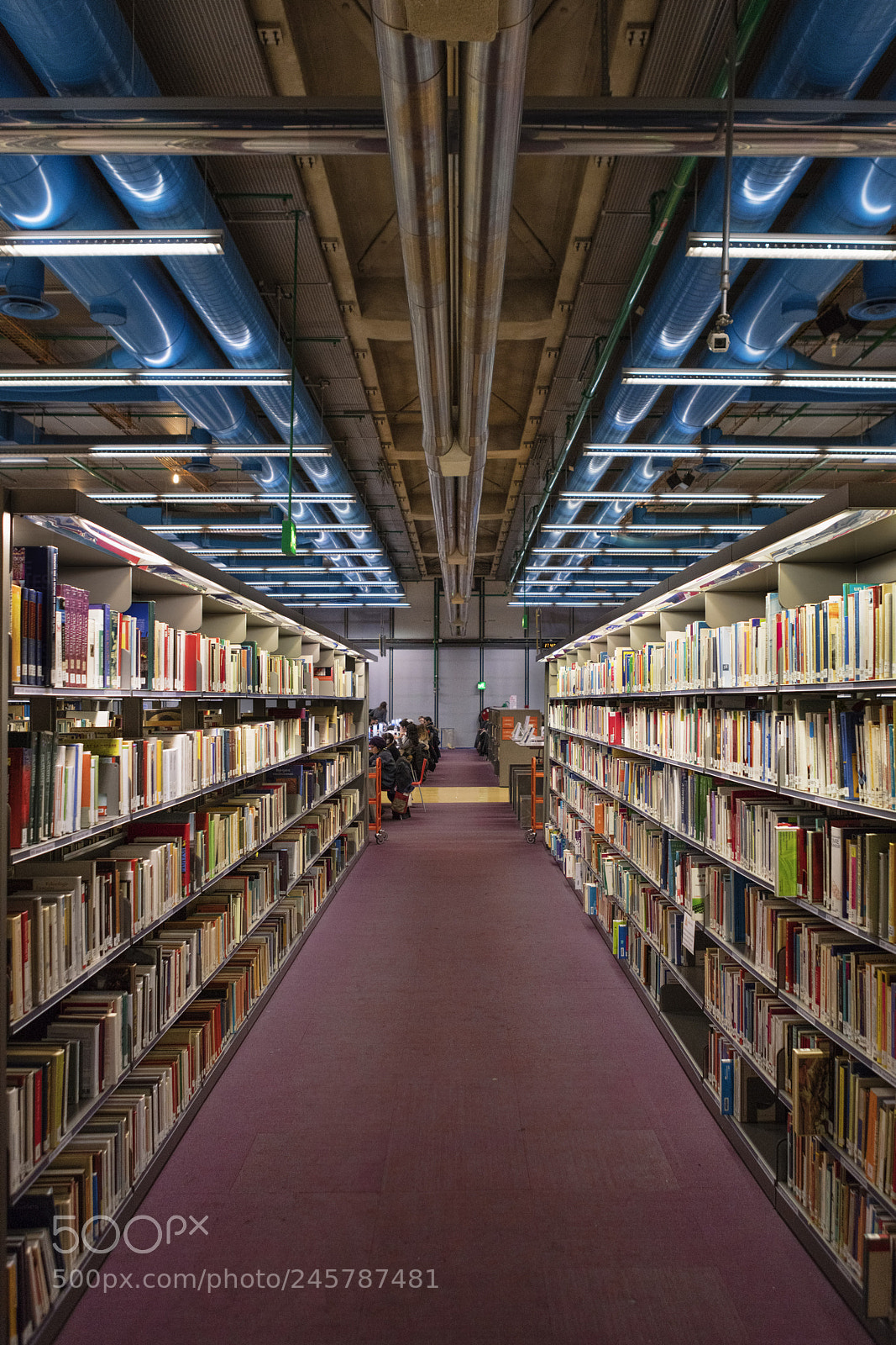 Canon EOS 5DS R sample photo. Beaubourg library photography