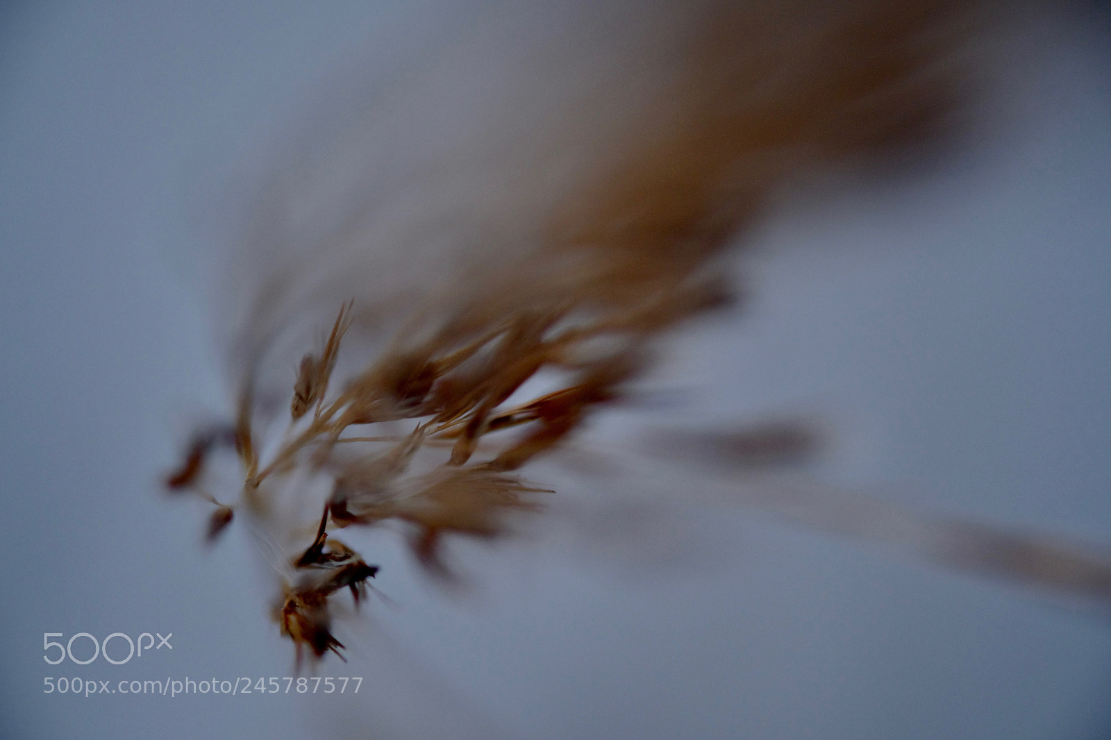Fujifilm X-T2 sample photo. . photography