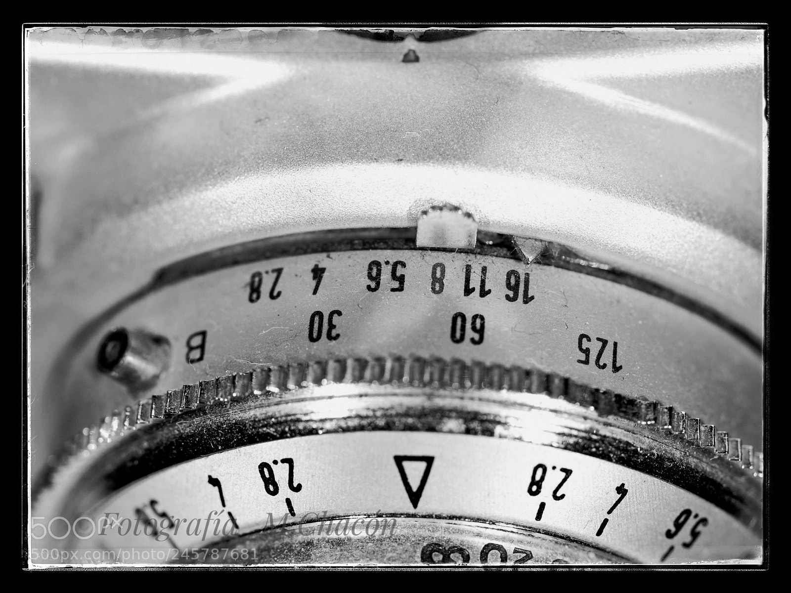 Olympus OM-D E-M1 Mark II sample photo. Untitled photography