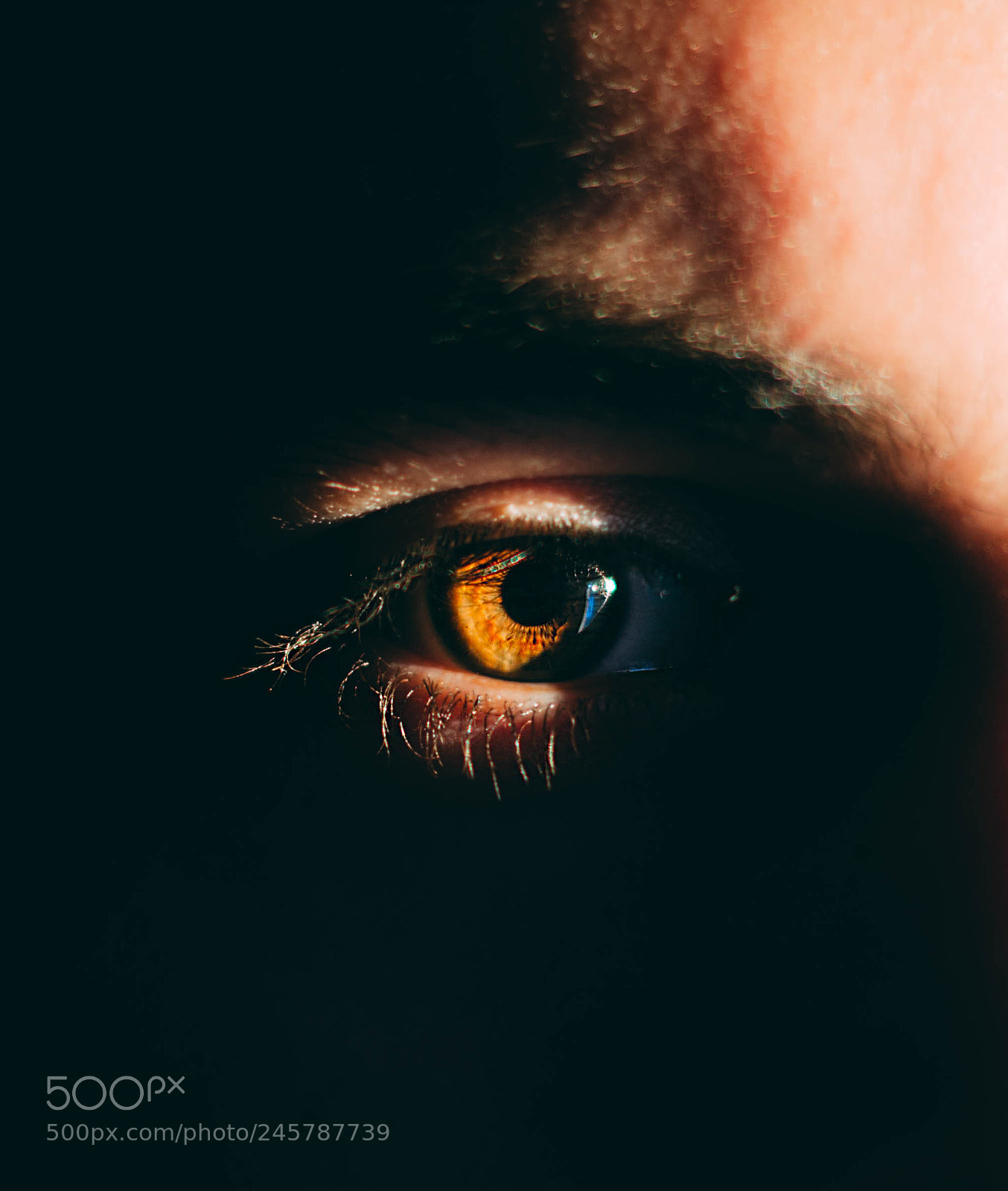 Nikon D5100 sample photo. The eye is the photography