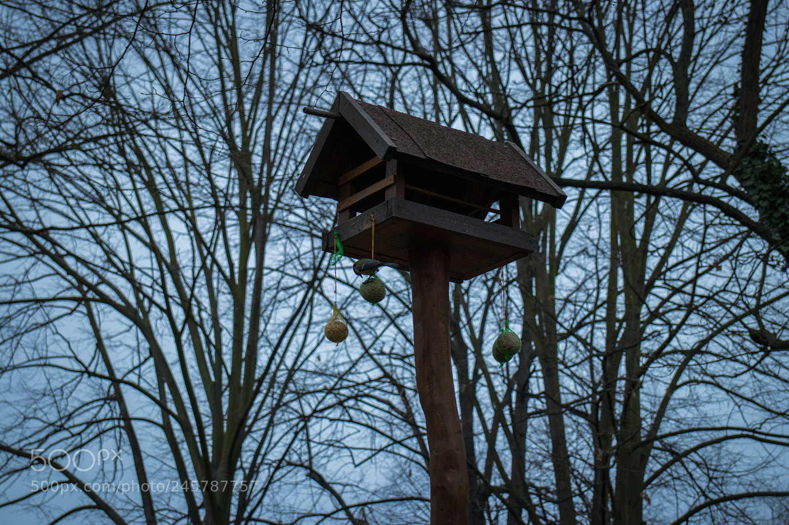 Canon EOS 200D (EOS Rebel SL2 / EOS Kiss X9) sample photo. A bird house in photography