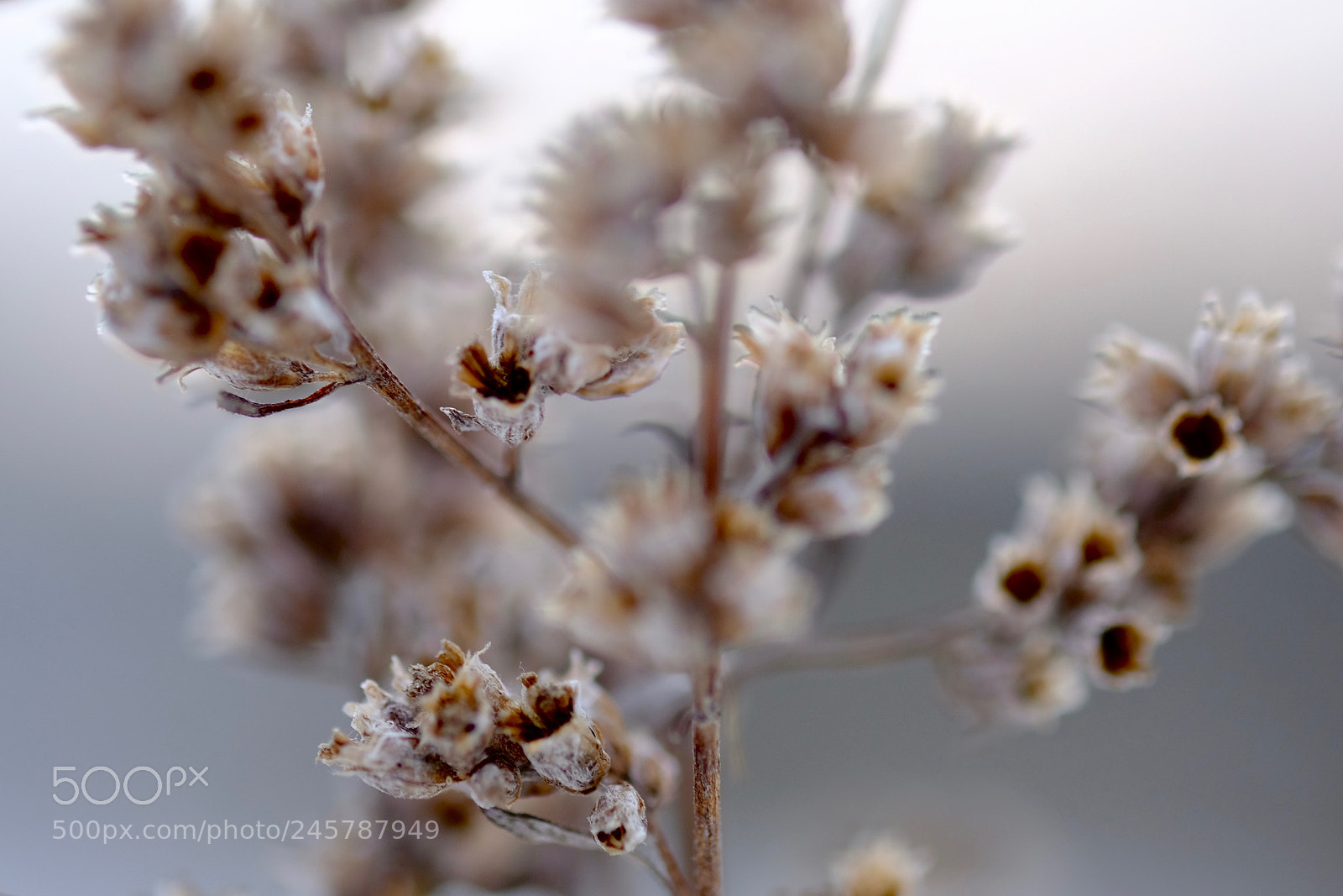 Fujifilm X-T2 sample photo. . photography