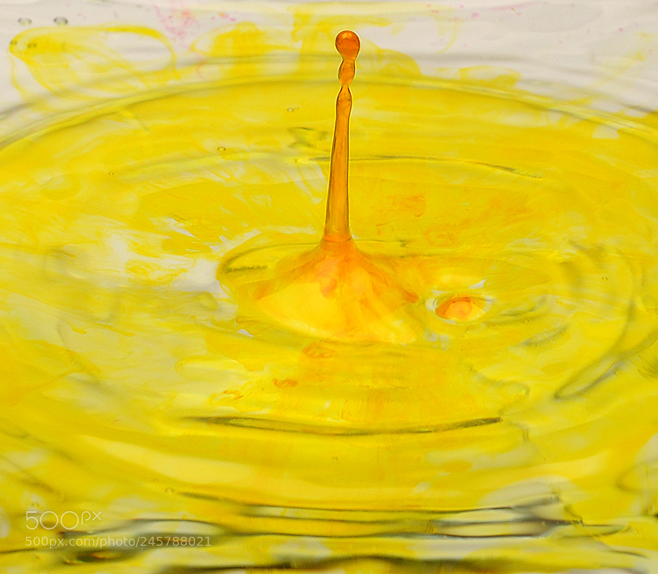 Nikon D90 sample photo. Yellow ink photography