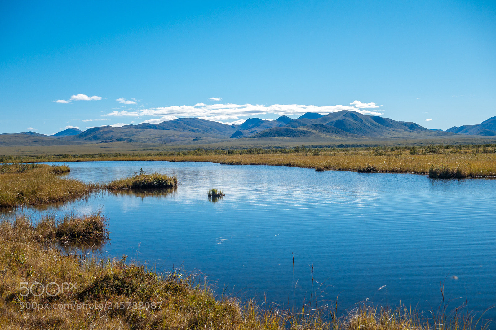 Sony Cyber-shot DSC-RX100 II sample photo. Alaskan tundra photography