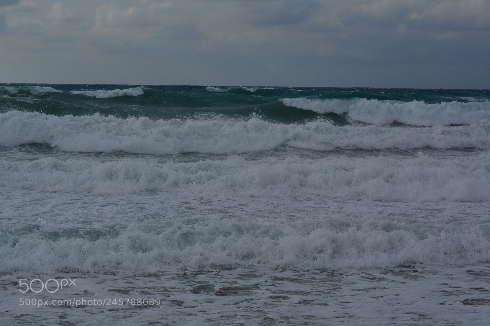 Nikon D5200 sample photo. L50 photography