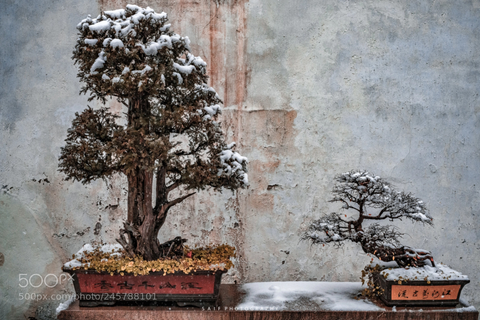 Sony a7R II sample photo. Winter views photography