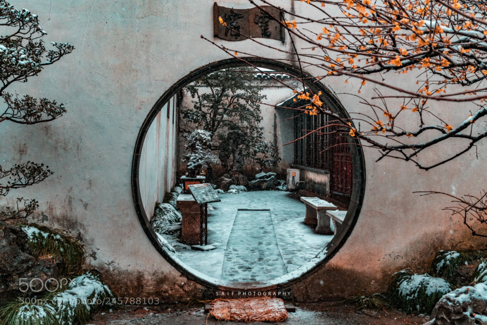 Sony a7R II sample photo. Winter views photography