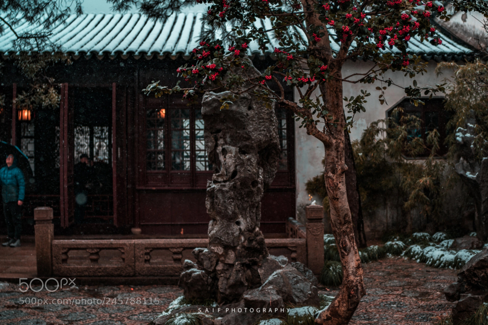 Sony a7R II sample photo. Winter views photography