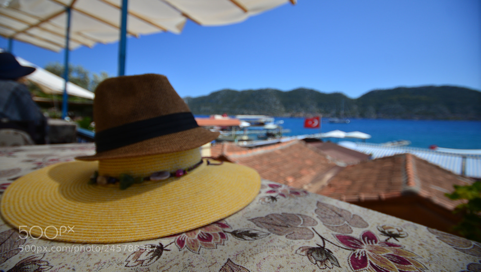 Nikon D600 sample photo. Hat photography