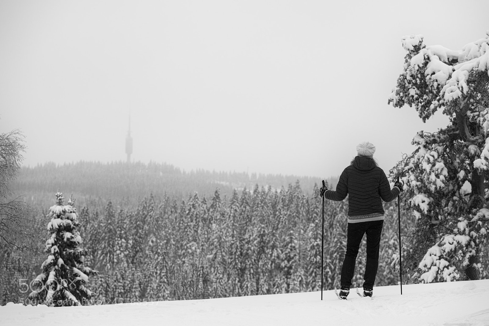 Sony a7 II sample photo. Nordmarka photography
