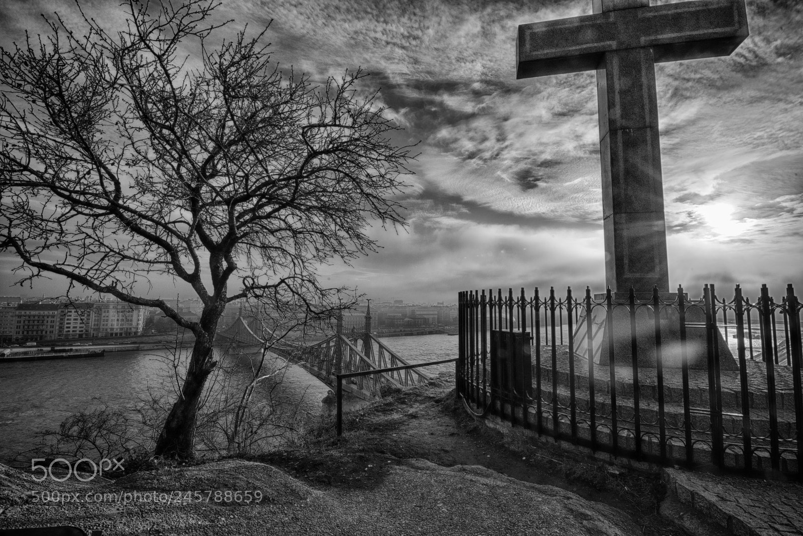 Nikon D810 sample photo. Freedom bridge photography