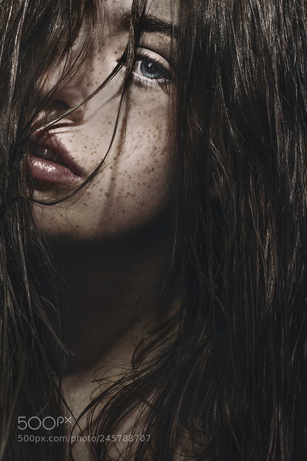 Nikon D5100 sample photo. Wet look photography