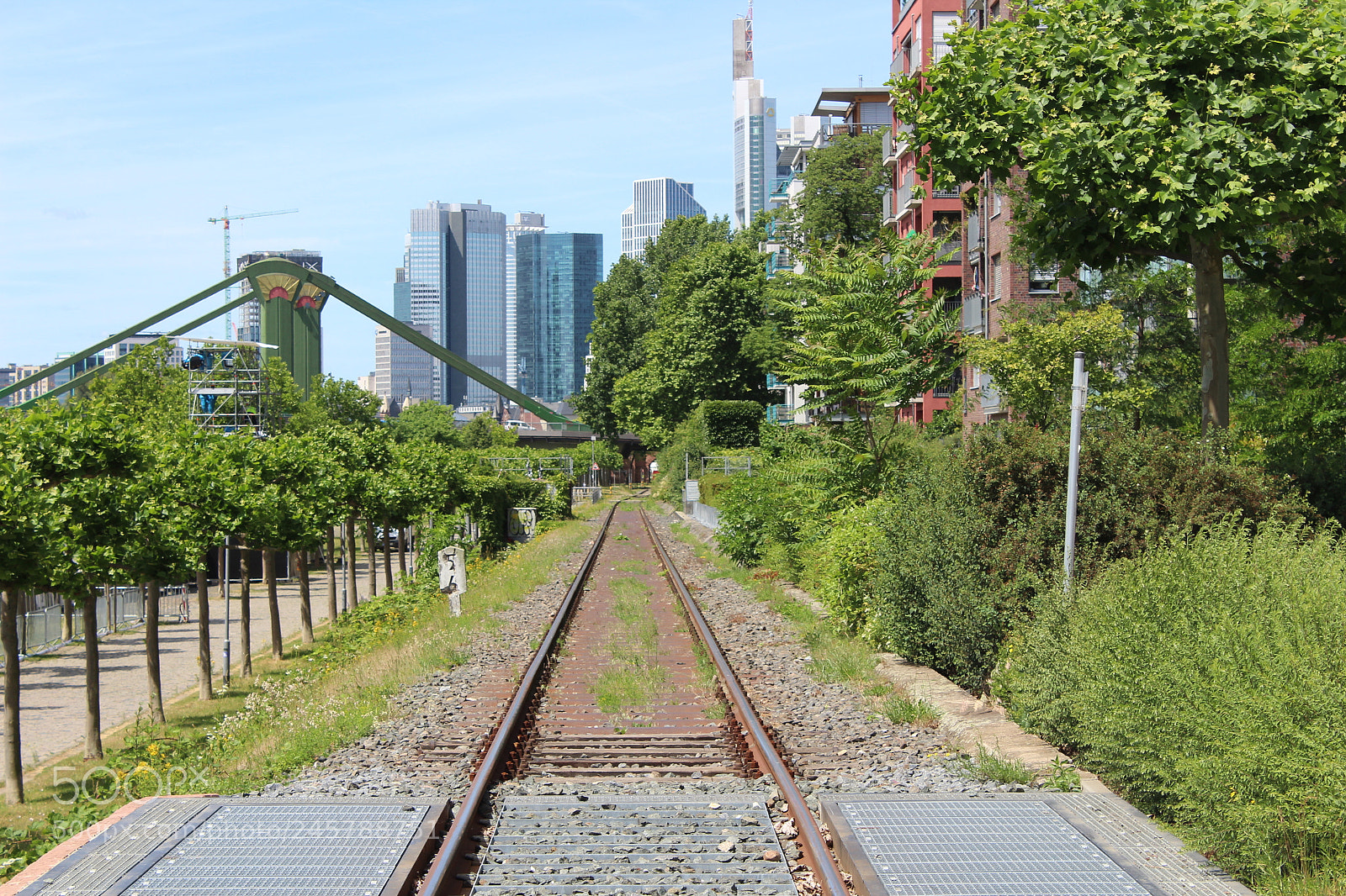 Canon EF-S 18-55mm F3.5-5.6 III sample photo. Concrete jungle photography