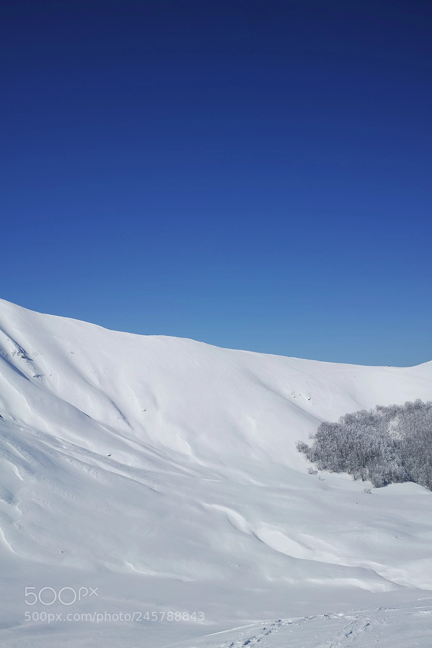 Sigma dp2 Quattro sample photo. Delicate transition photography