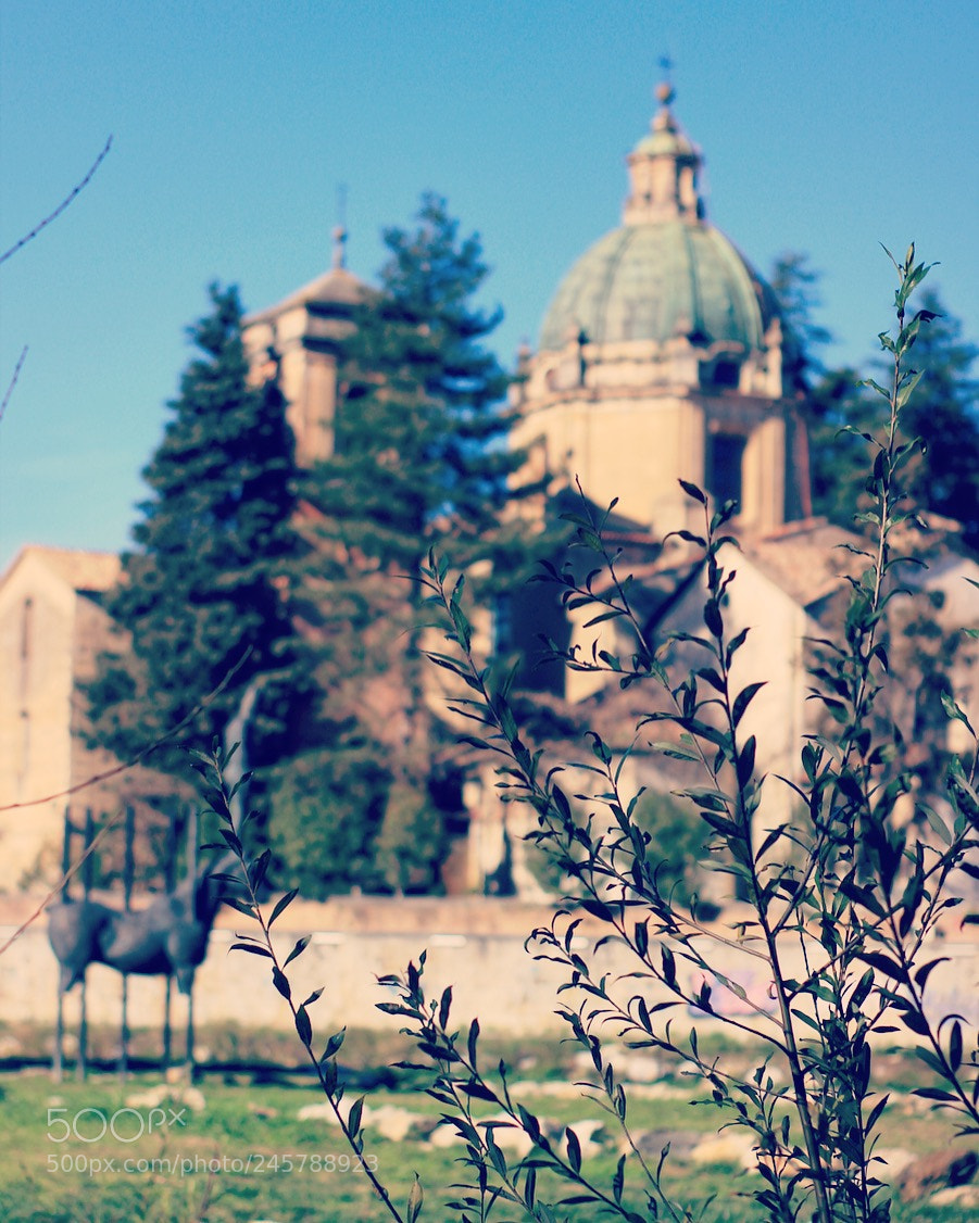 Canon EOS 600D (Rebel EOS T3i / EOS Kiss X5) sample photo. San domenico/ alarico photography