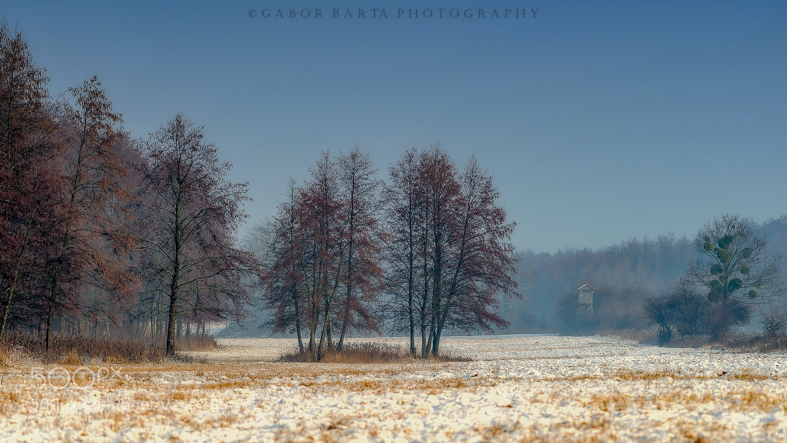 Nikon D5 sample photo. On a cold, fresh photography