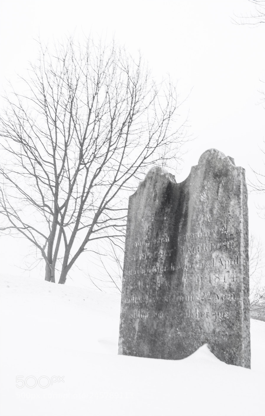 Fujifilm X-T1 sample photo. Graves photography