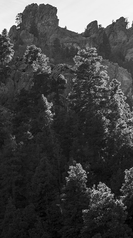 Sigma sd Quattro sample photo. Hualapai peak photography
