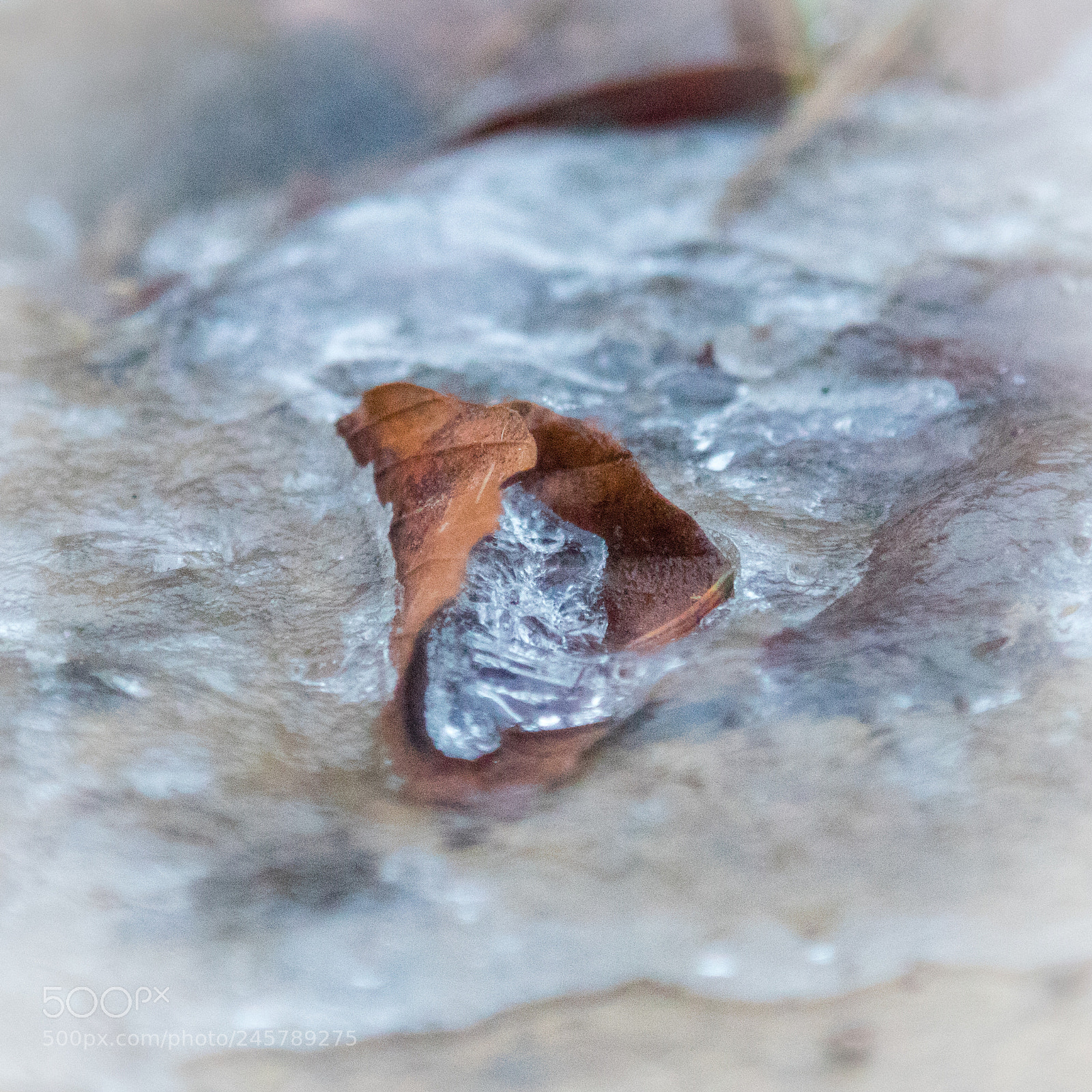 Canon EOS 200D (EOS Rebel SL2 / EOS Kiss X9) sample photo. Captured in ice photography