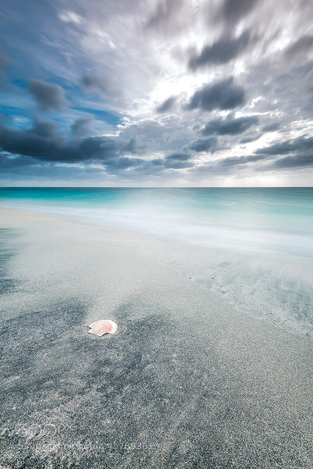 Nikon D800 sample photo. Alone photography