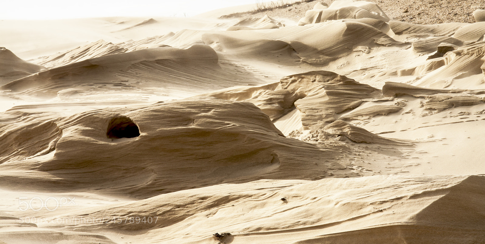 Canon EOS 50D sample photo. Formes i textures photography