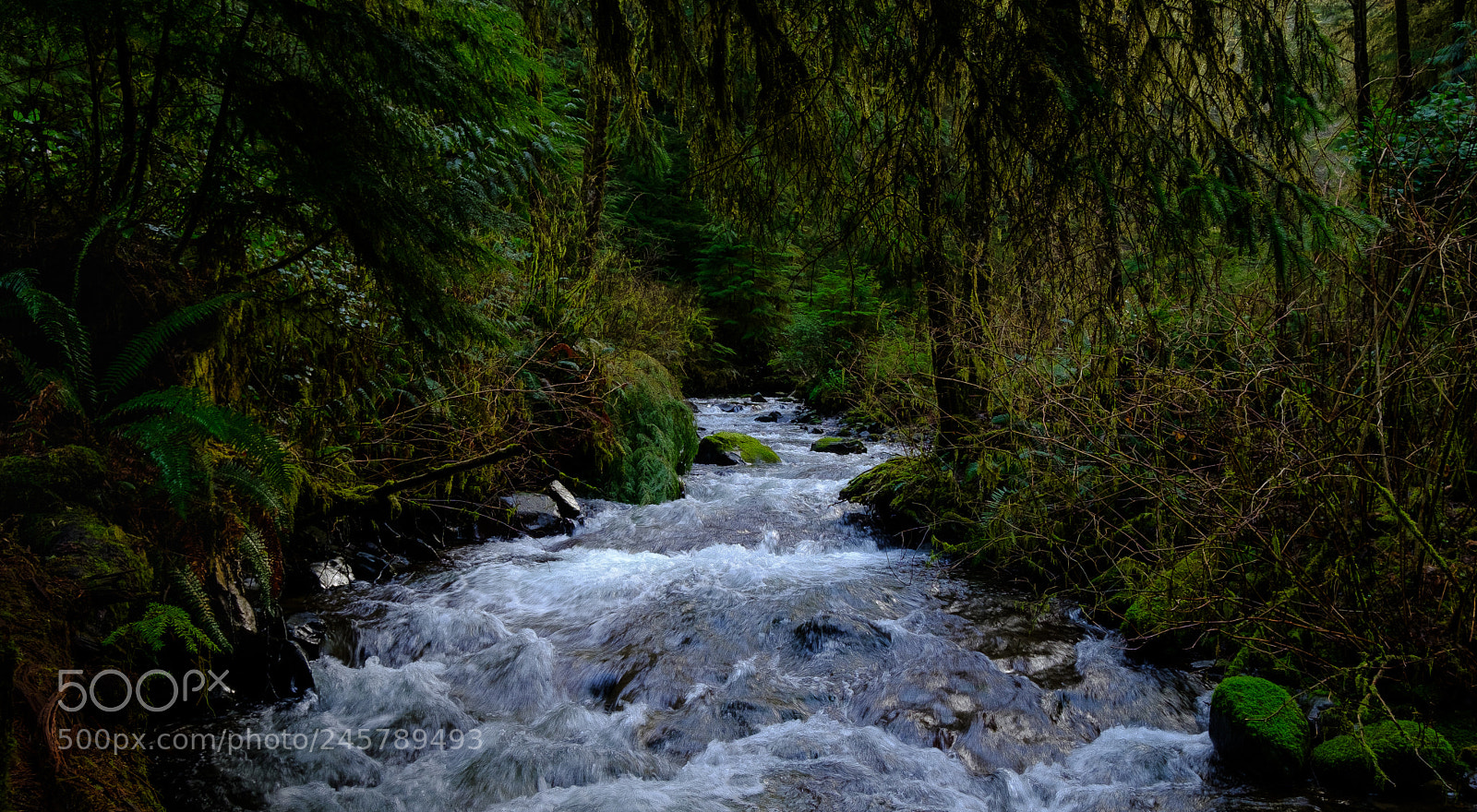 Fujifilm X-T2 sample photo. Short sand creek photography